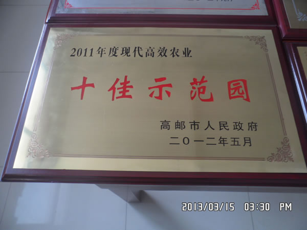 十佳示范园