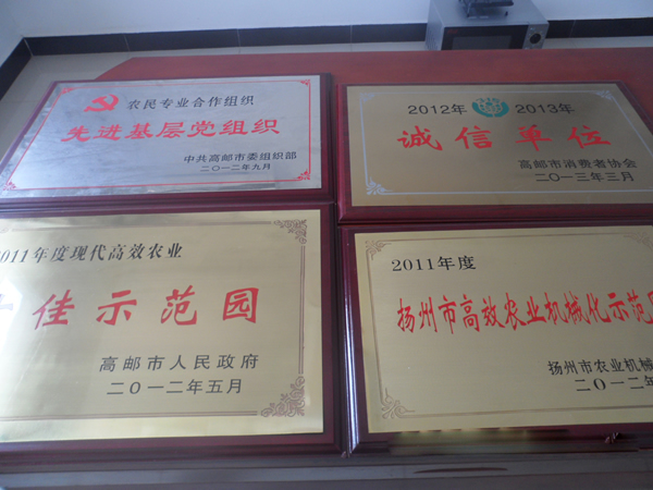 获得奖项