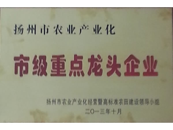 龙头企业