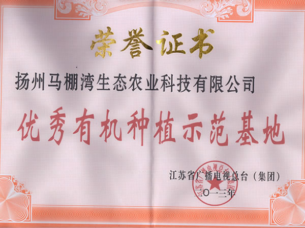 荣誉证书