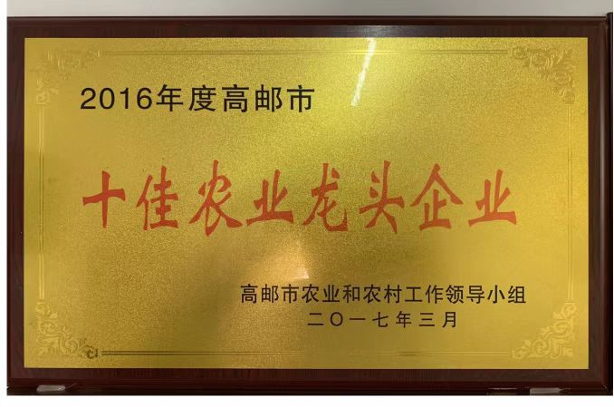 十佳龙头企业